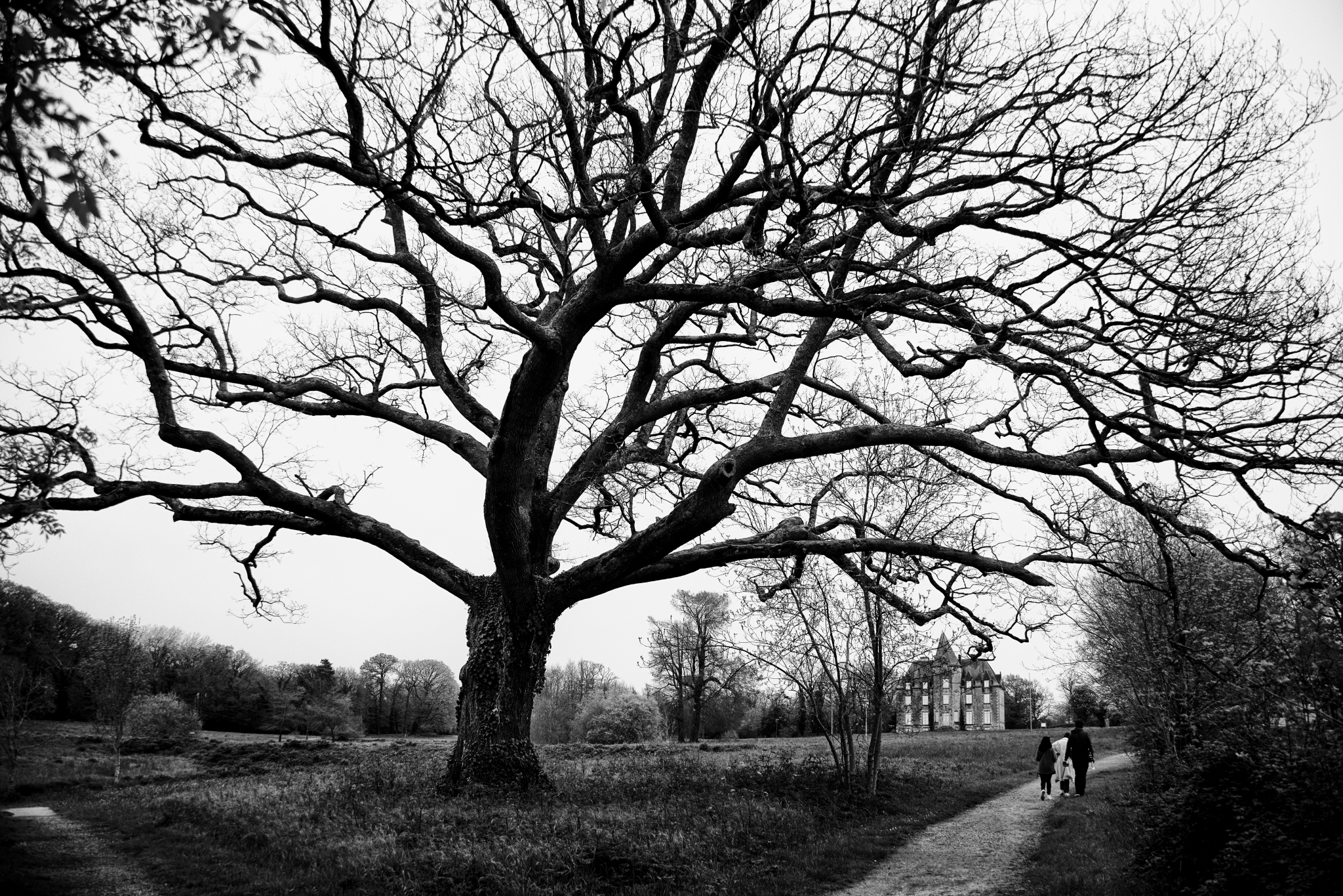 photo parc de Beaupuy Michel Louvel